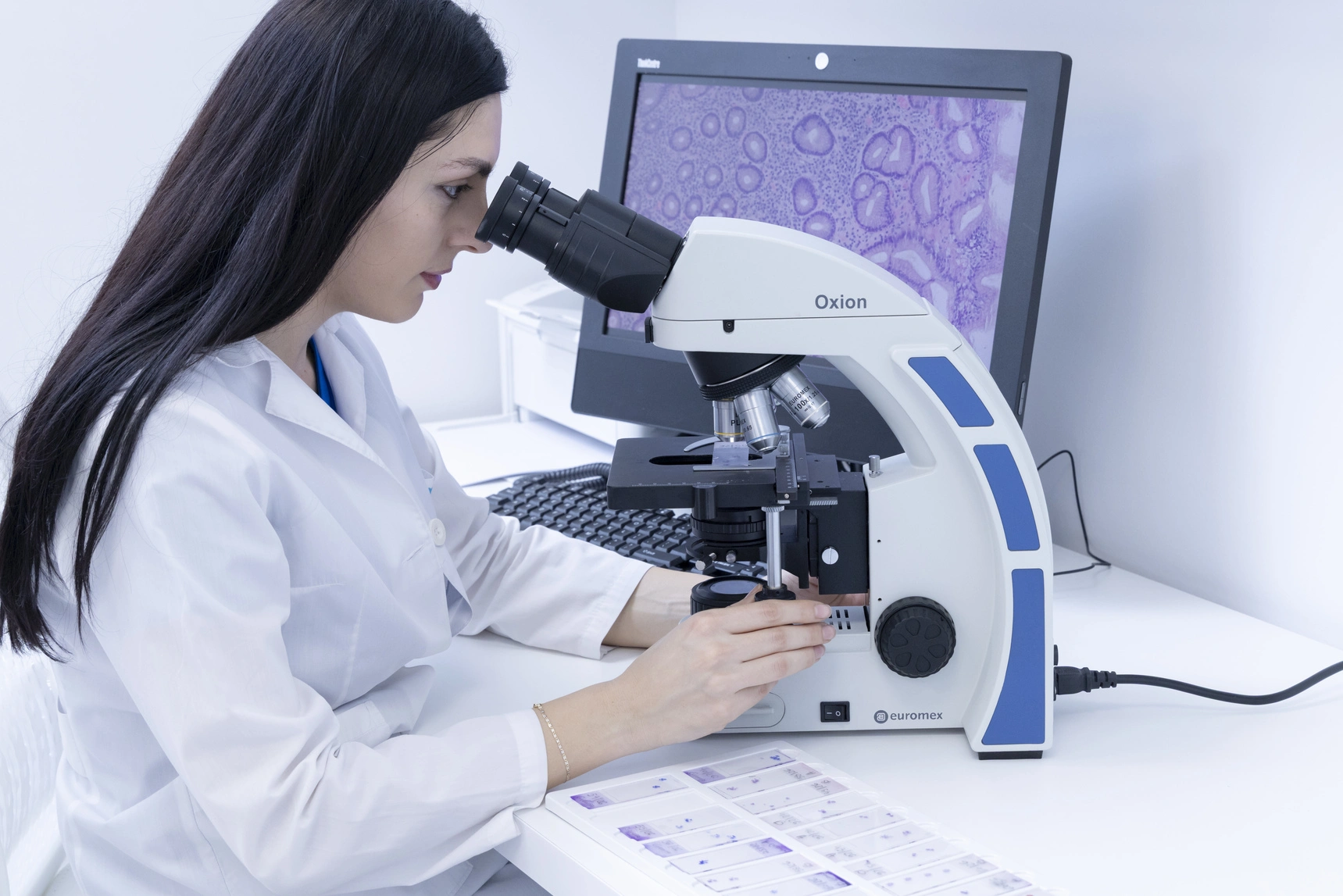 Ekzaminimi Histopatologjik